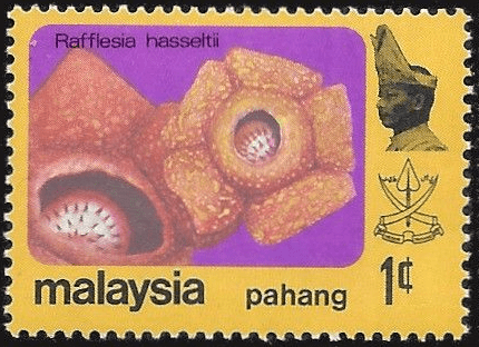 Pahang 1979 Flowers SG 111 Fine Mint