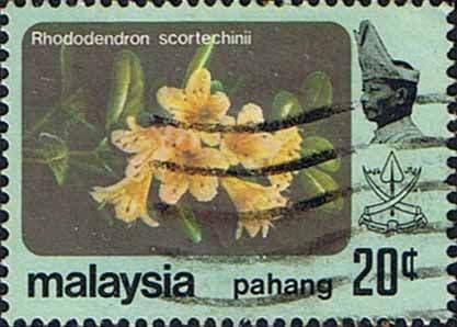 Pahang 1979 Flowers SG 116 Fine Used