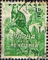 Papua New Guinea 1952 SG 1 Tree Kageroo Fine Used