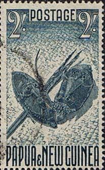 Papua New Guinea 1952 SG 12 Sepik Dancing Masks Fine Used