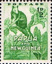 Papua New Guinea 1952 Tree Kageroo SG 1 Fine Mint