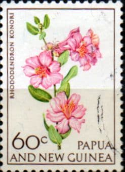 Papua New Guinea 1966 Flowers SG103 Fine Used