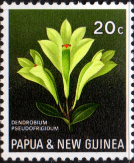 Papua New Guinea 1969 Flora Conservation SG 161 Fine Mint