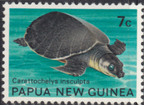 Papua New Guinea 1972 Fauna Conservation SG 216 Fine Mint