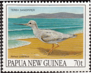 Papua New Guinea 1990 Migratory Birds SG 627 Fine Mint