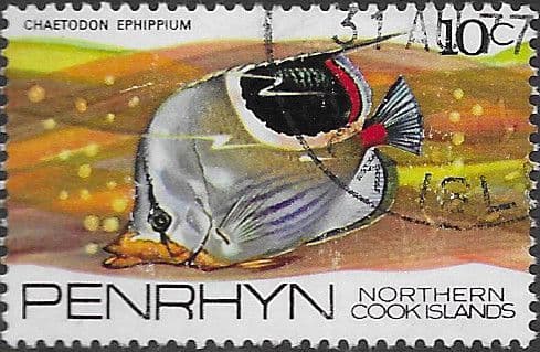 Penrhyn Island 1974 Fish SG63 Fine Used