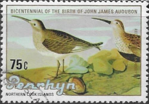 Penrhyn Island 1985 John J. Audubon Birds SG 376 Fine Used