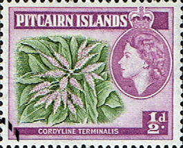 Pitcairn Islands 1963 SG 33 Plant Fine Used