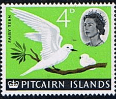 Pitcairn Islands 1964 SG 40 White Tern Fine Mint