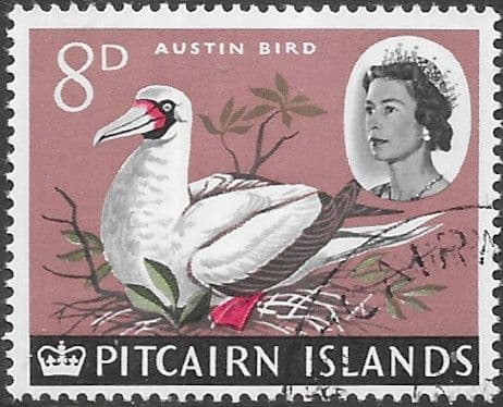 Pitcairn Islands 1964 SG 42 Red-footed Booby Fine Used