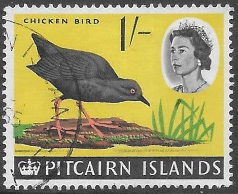 Pitcairn Islands 1964 SG 44 Henderson Island Crake Fine Used