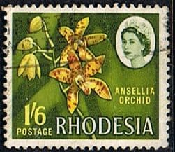 Rhodesia 1966 Whitely SG 382 Fine Used