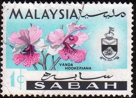 Sabah 1965 SG 424 Orchids Vanda Hookeriana Fine Used