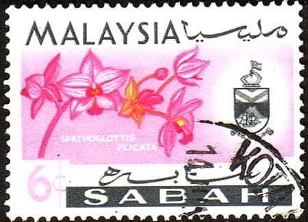 Sabah 1965 SG 427 Orchids Spathoglottis Plicata Fine Used