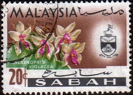 Sabah 1965 SG 430 Orchids Phalaenopsis Violacea Fine Used