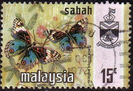 Sabah 1971 SG 437 Butterflies Precis Brithya Wallacei Fine Used