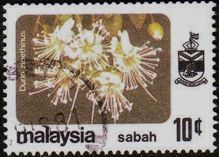 Sabah 1979 SG 448 Flower Durio Zibethinus Fine Used