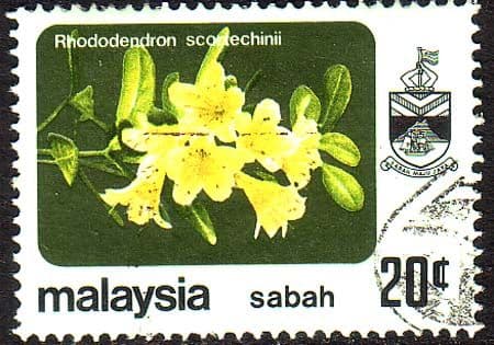 Sabah 1979 SG 450 Flower Rhododendron Scortechinii Fine Used