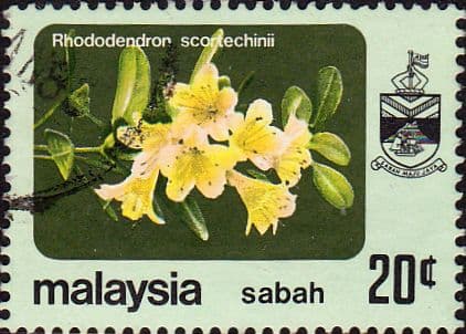 Sabah 1983 SG 457a Flower Rhododendron Scortechinii Fine Used