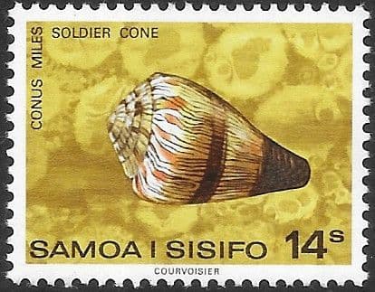 Samoa 1978 Shells SG 526 Fine Mint