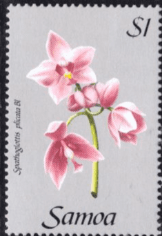 Samoa 1985 Orchids SG 691 Fine Mint
