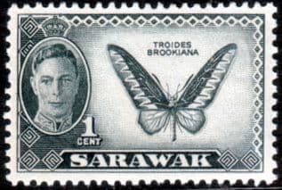 Sarawak 1950 SG 171 Butterfly Fine Mint