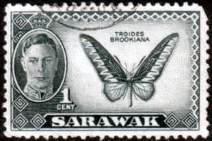 Sarawak 1950 SG 171 Butterfly Fine Used