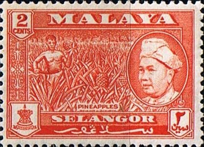 Selangor 1957 SG 117 Sultan and Pineapples Fine Mint