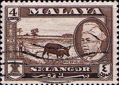 Selangor 1957 SG 118 Sultan and Rice Field Fine Used