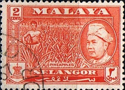 Selangor 1957 Sultan and Pineapples SG 117 Fine Used