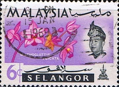 Selangor 1965 Flowers Orchids SG 139 Fine Used