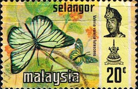 Selangor 1971 Butterflies SG 152 Fine Used