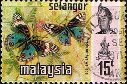 Selangor 1977 Butterflies SG 156 Fine Used