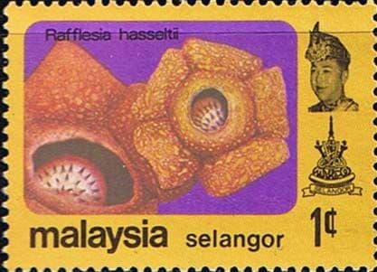 Selangor 1979 Flowers SG 158 Fine Mint