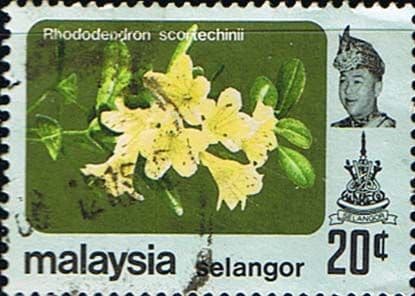Selangor 1979 Flowers SG 163 Fine Used