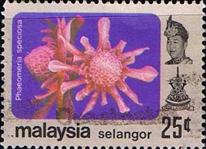 Selangor 1979 Flowers SG 164 Fine Used