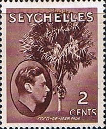 Seychelles 1938 King George VI SG 135a Fine Mint