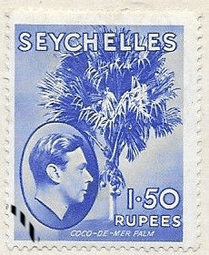 Seychelles 1938 King George VI SG 147a Fine Used