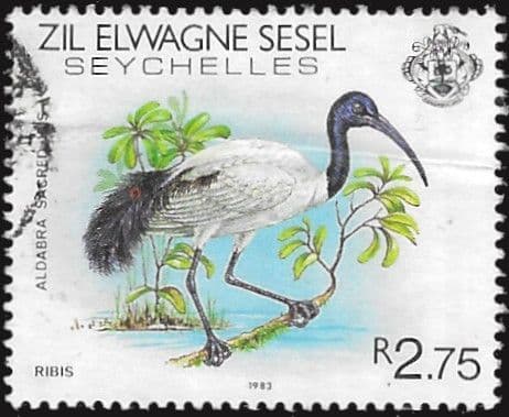 Seychelles Zil Eloigne Sesel 1983 Birds SG 64 Fine Used
