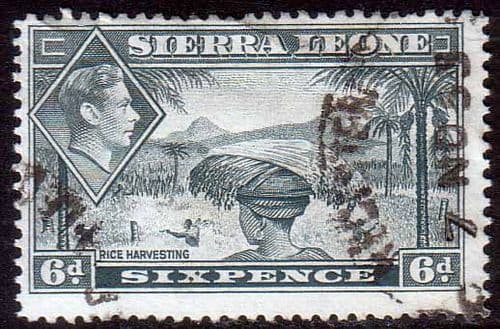 Sierra Leone 1938 SG 195 Rice Harvesting Fine Used