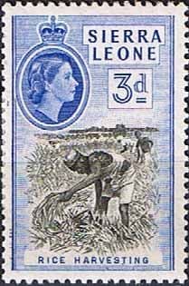 Sierra Leone 1956 SG 214 Rice Harvesting Fine Mint