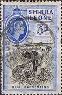 Sierra Leone 1956 SG 214 Rice Harvesting Fine Used