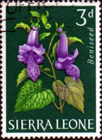 Sierra Leone 1963 SG 246 Beniseed Fine Used