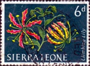 Sierra Leone 1963 SG 248 Climbing Lily Fine Used