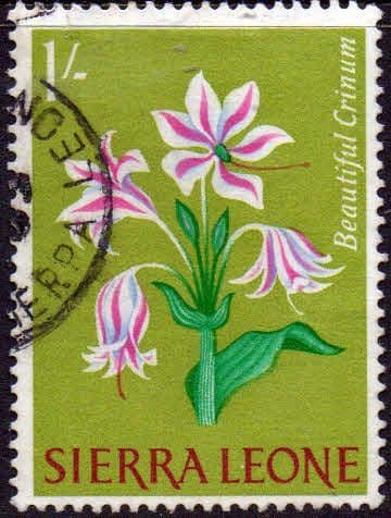 Sierra Leone 1963 SG 249 Beautiful Crinum Fine Used