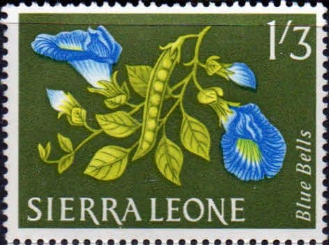 Sierra Leone 1963 SG 250 Blue Bells Fine Mint