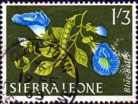Sierra Leone 1963 SG 250 Blue Bells Fine Used
