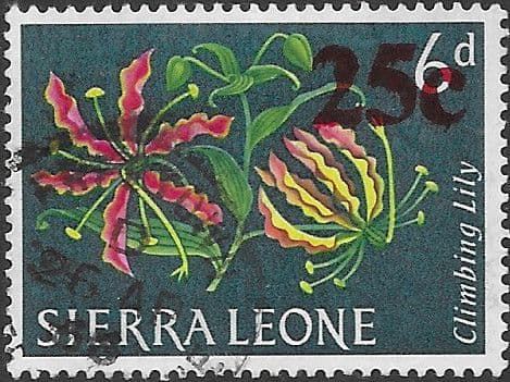 Sierra Leone 1964 Decimal Surcharge SG 320 Fine Used
