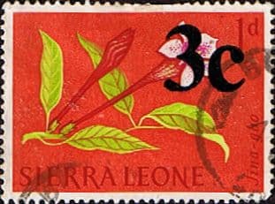 Sierra Leone 1964 Flowers Surcharges SG 339 Fine Used