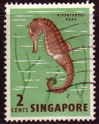 Singapore 1962 SG 64 Seahorse Fine Used